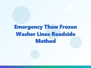 Emergency Thaw for Frozen Washer Lines Roadside Method