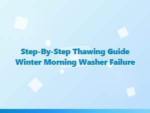 Thawing a Washer After a Winter Morning Failure
